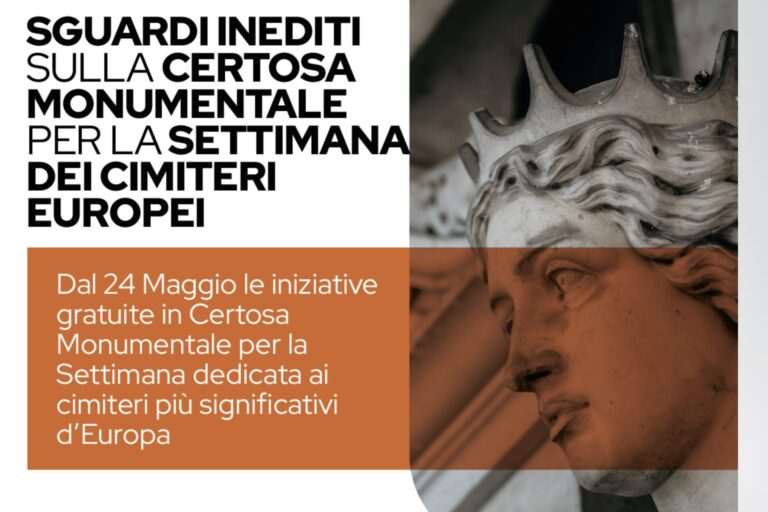 Programma WDEC 2024